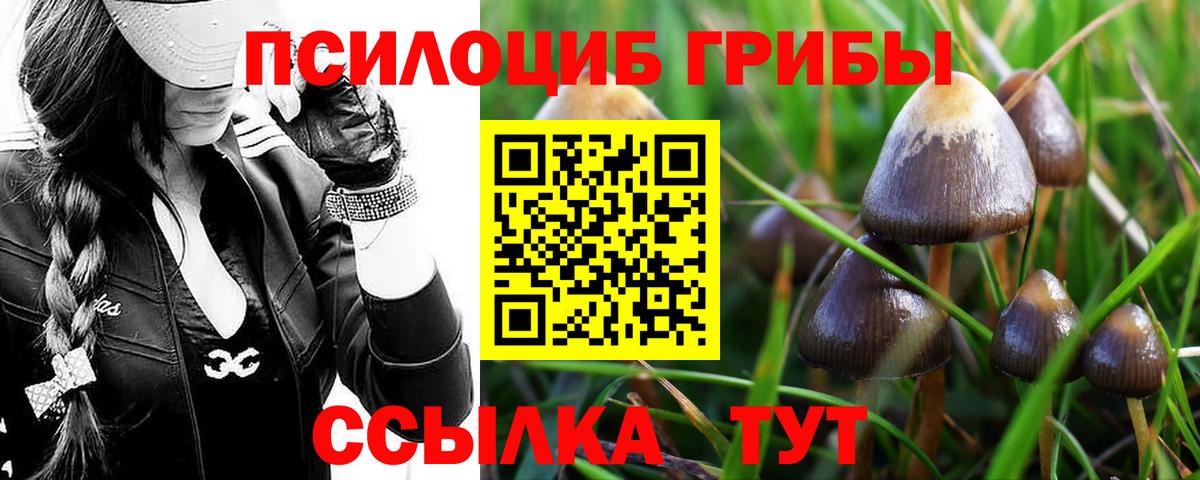Псилоцибиновые грибы мухоморы Канск