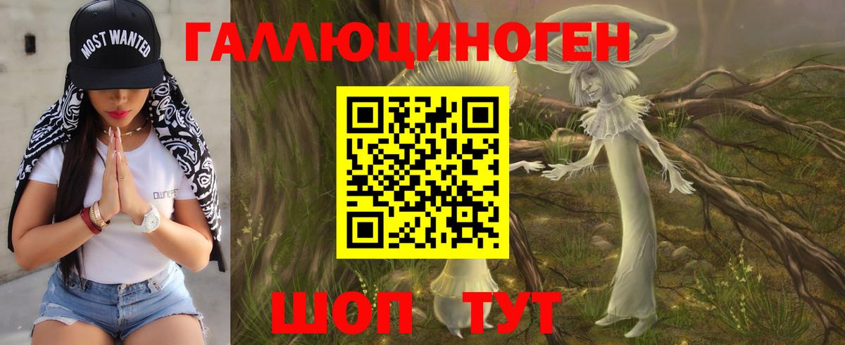 Псилоцибиновые грибы мицелий  Вход с VPN  закладка  Канск 