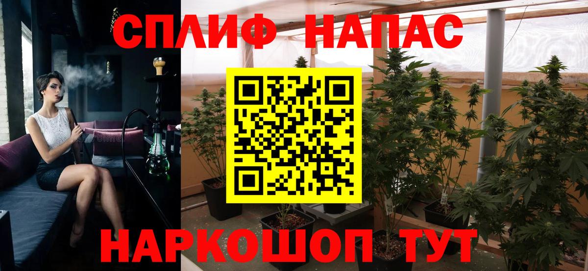 Бошки Шишки сатива  Вход с VPN  Канск  Бошки Шишки VHQ  Шишки марихуана план  Бошки марихуана Bruce Banner 